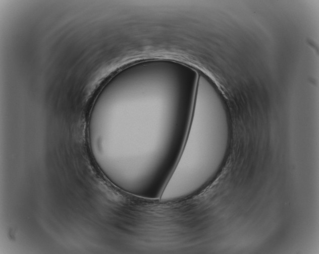 X0000091901507200709051053