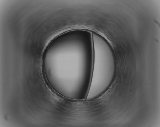 X0000091901508200709051053