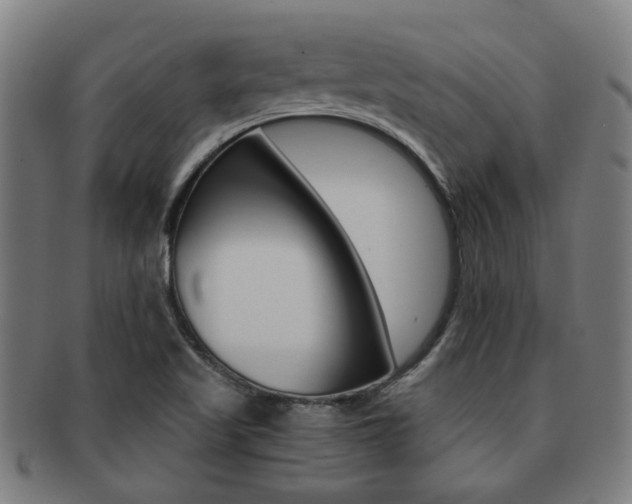 X0000091901509200709051053