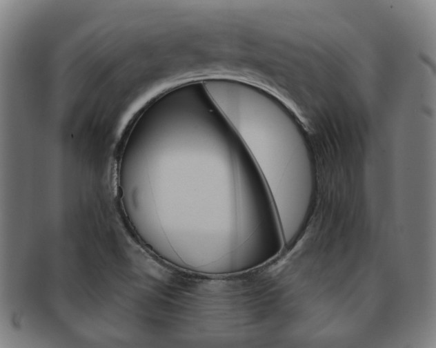 X0000091901510200709051053