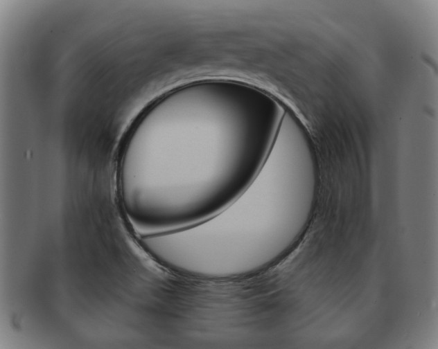 X0000091901511200709051053