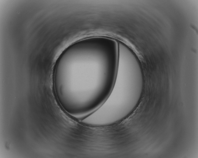 X0000091901512200709051054