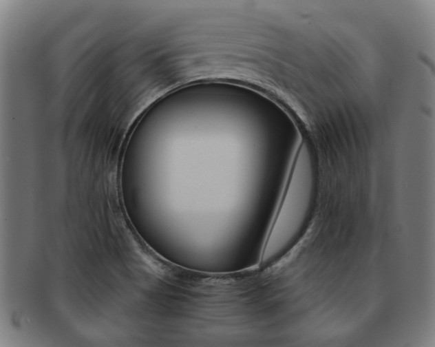 X0000091901513200709051054