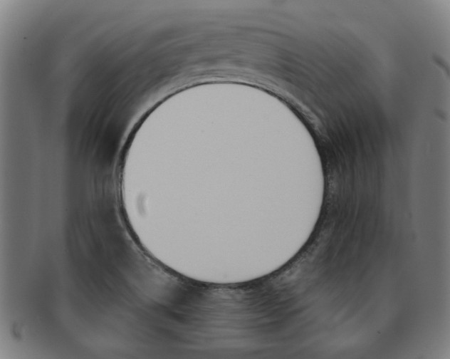 X0000091901514200709051054