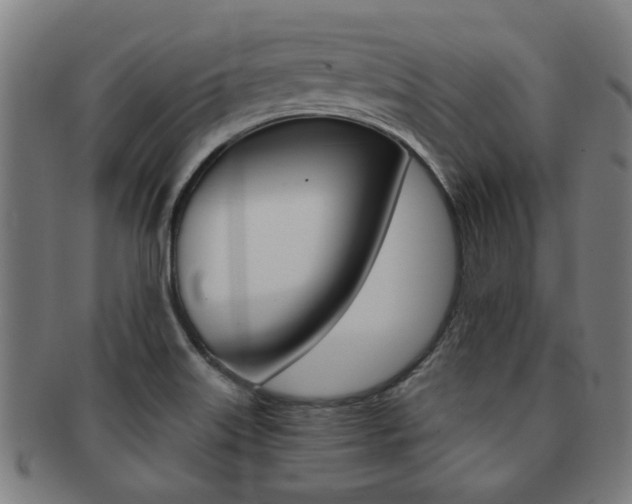 X0000091901515200709051054