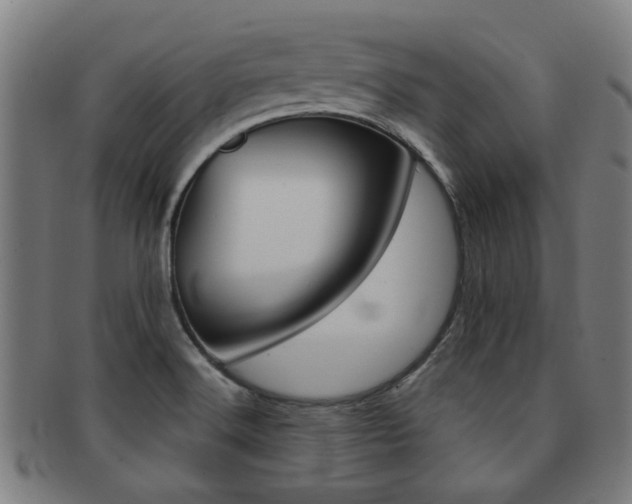 X0000091901516200709051054