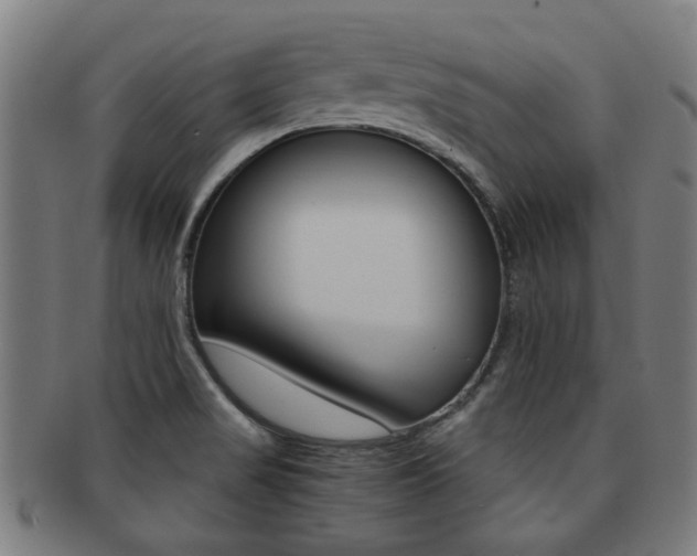 X0000091901517200709051054