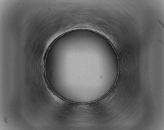 X0000091901519200709051054