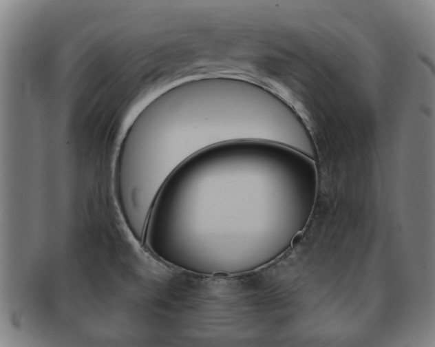 X0000091901520200709051054