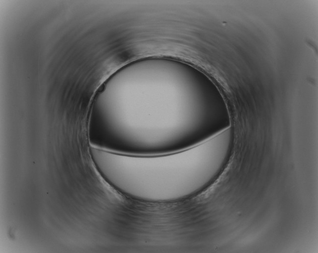 X0000091901521200709051054