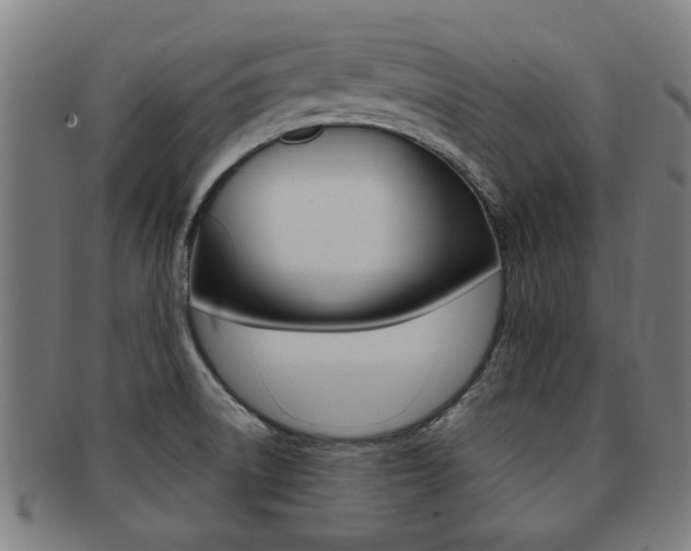 X0000091901522200709051054