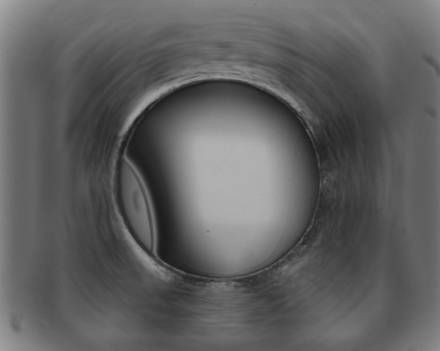 X0000091901523200709051054