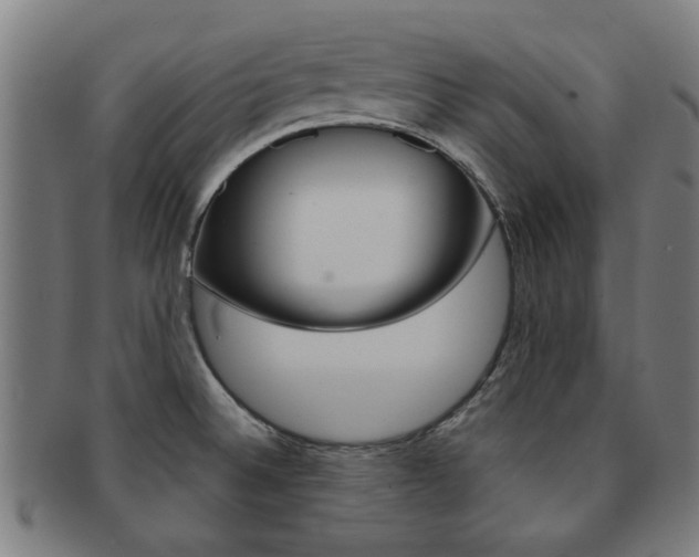 X0000091901524200709051054