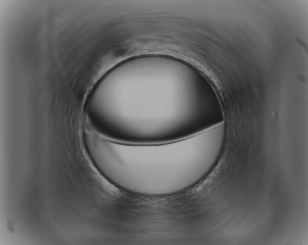 X0000091901525200709051054