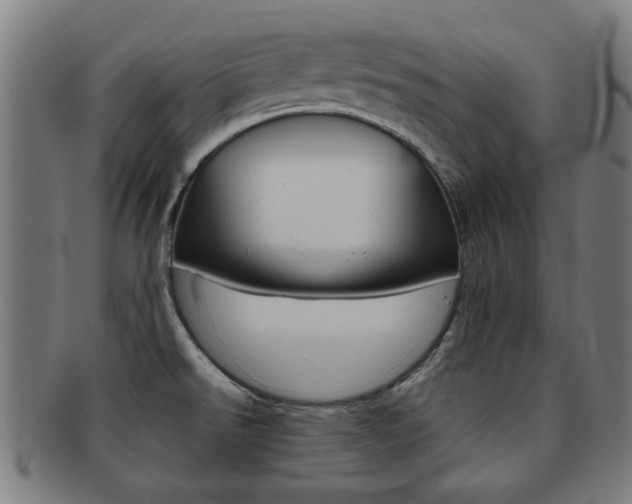 X0000091901526200709051054
