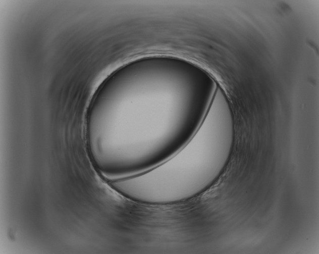 X0000091901527200709051054