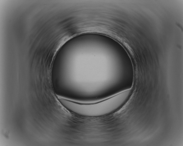 X0000091901529200709051054