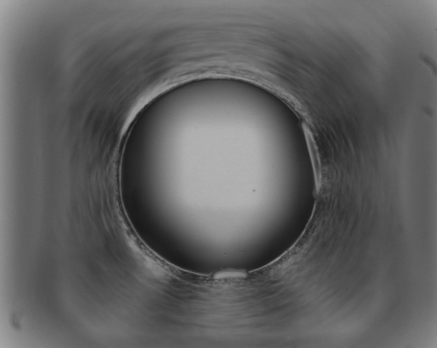 X0000091901530200709051054
