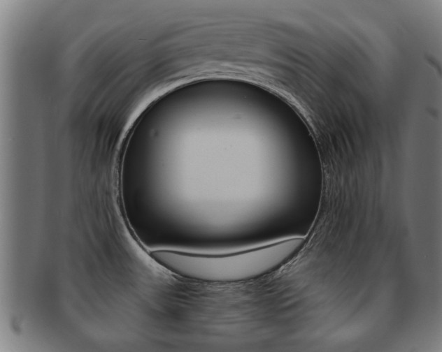 X0000091901531200709051054