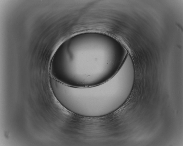X0000091901532200709051054