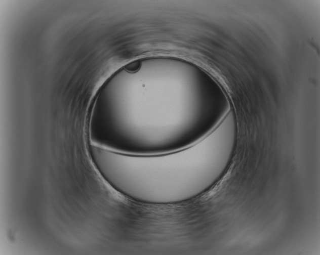 X0000091901533200709051054