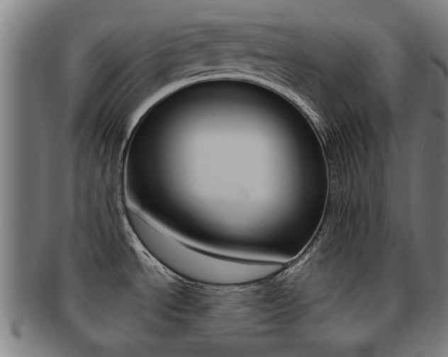 X0000091901534200709051054