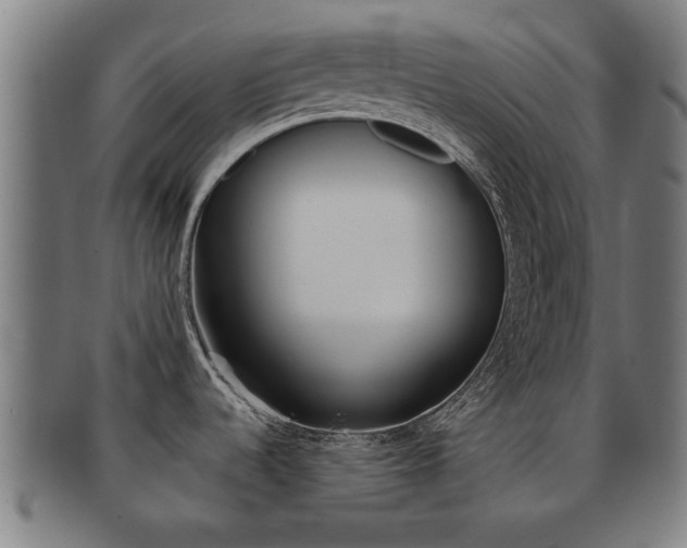 X0000091901536200709051054