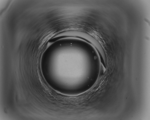 X0000091900001200709051411