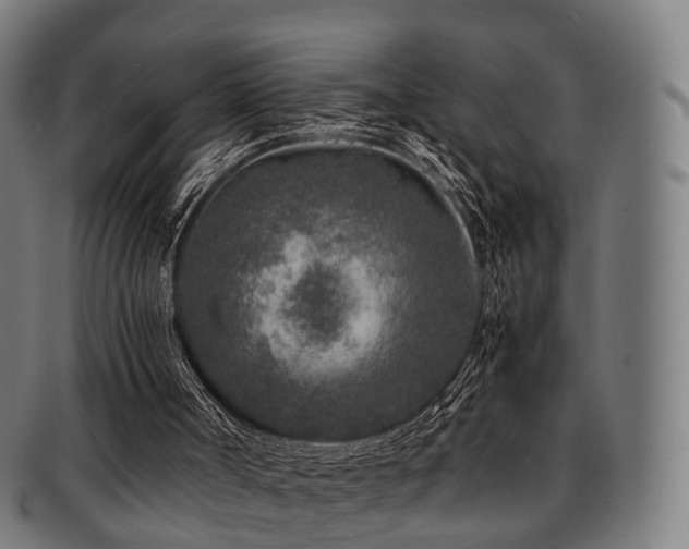 X0000091900002200709051411