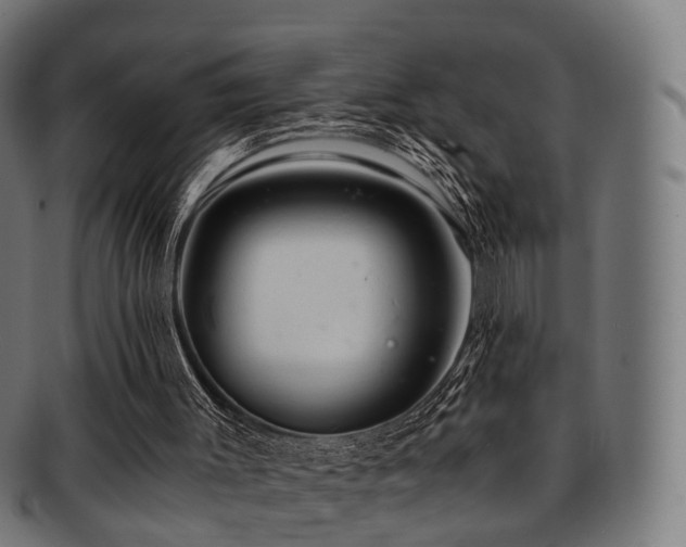 X0000091900003200709051411