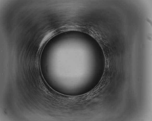 X0000091900004200709051411