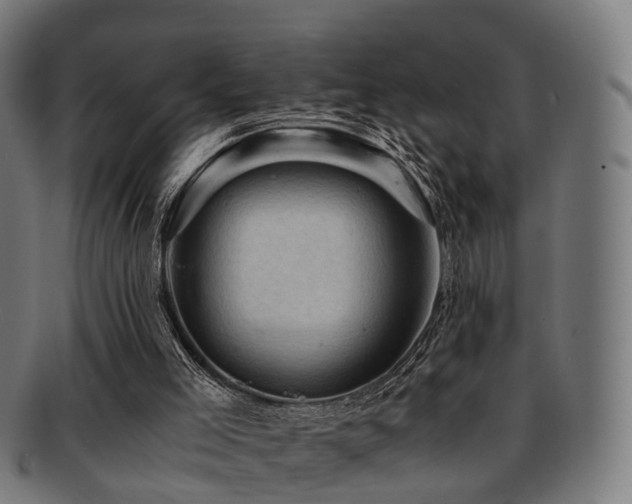 X0000091900005200709051411