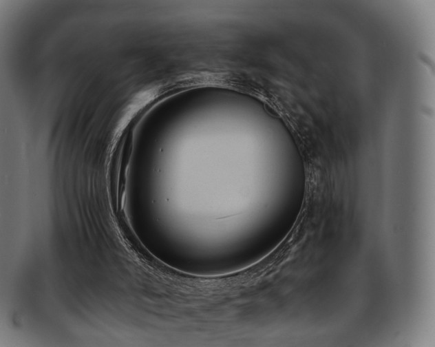 X0000091900006200709051411