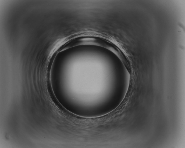 X0000091900007200709051411