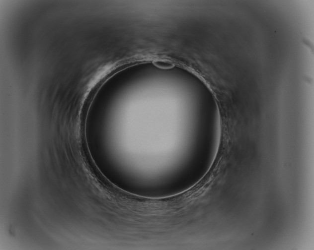 X0000091900008200709051411