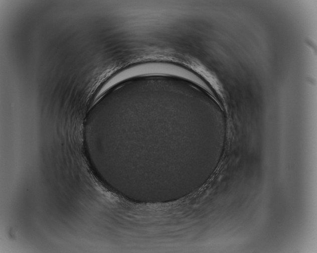 X0000091900009200709051411