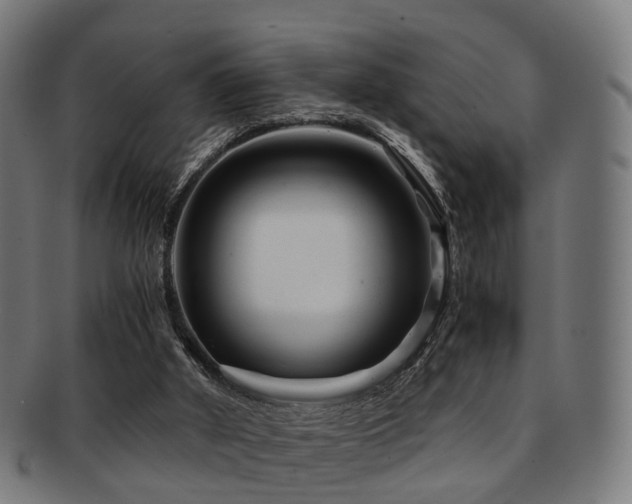 X0000091900010200709051411