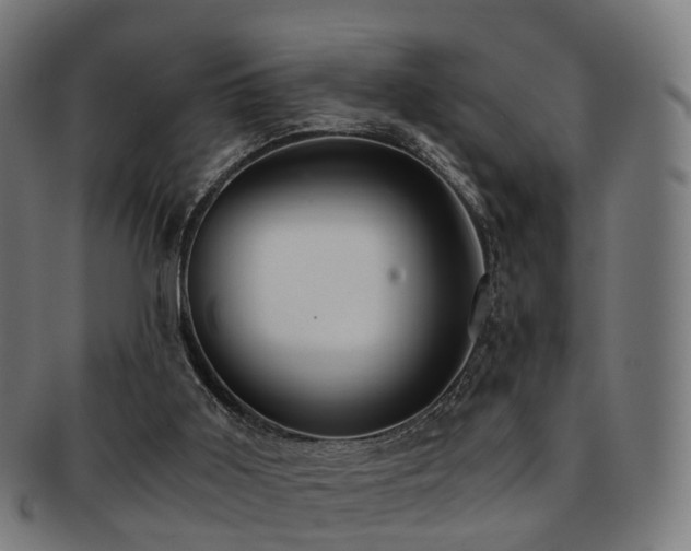 X0000091900011200709051411