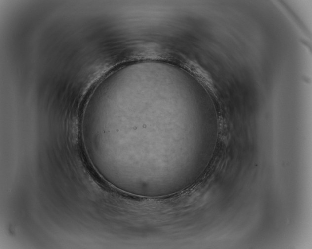 X0000091900012200709051411