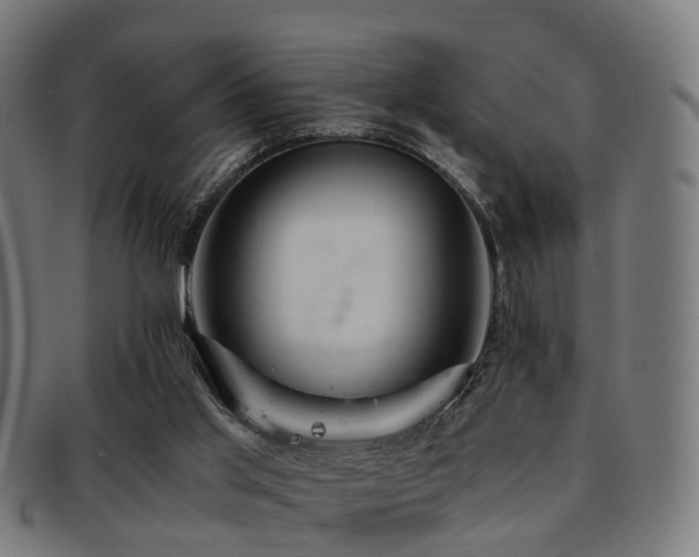 X0000091900013200709051411