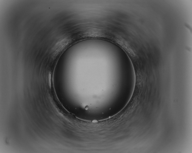 X0000091900014200709051411