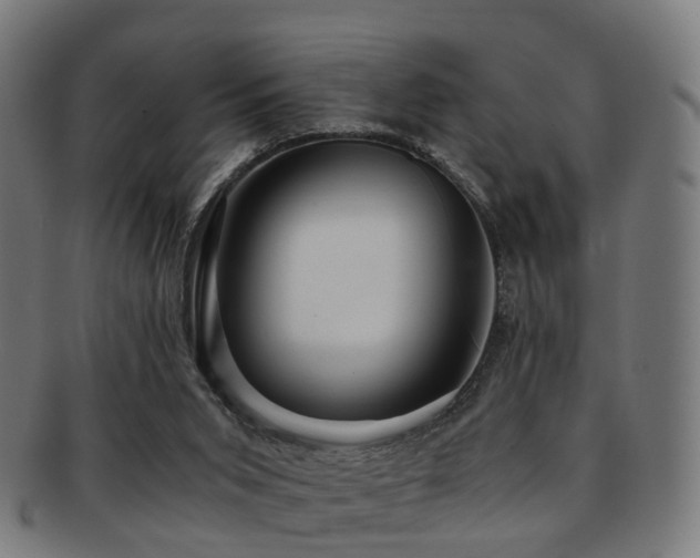 X0000091900015200709051411