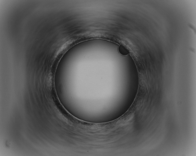 X0000091900016200709051411