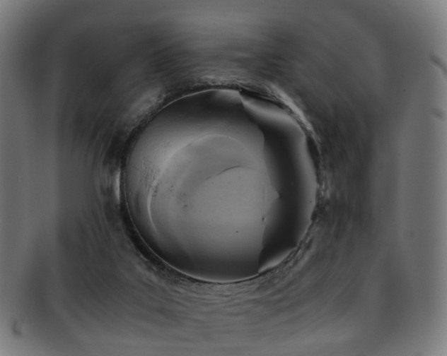 X0000091900019200709051411