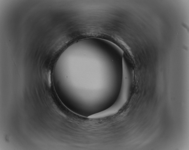 X0000091900020200709051411