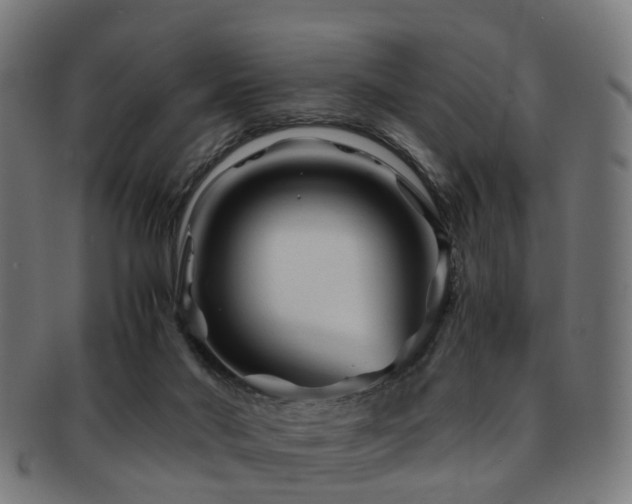 X0000091900022200709051411