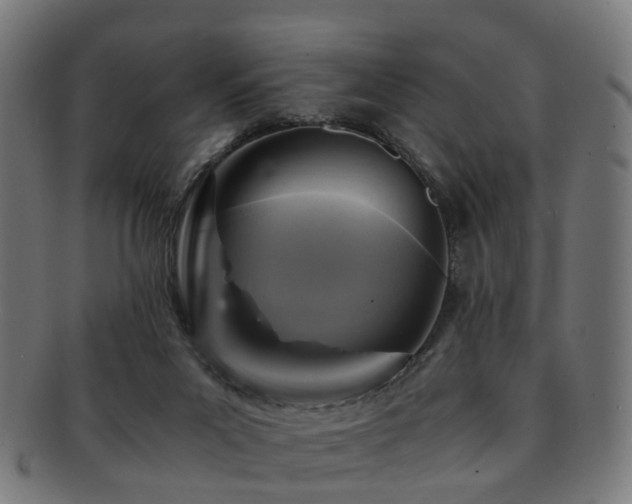 X0000091900023200709051411