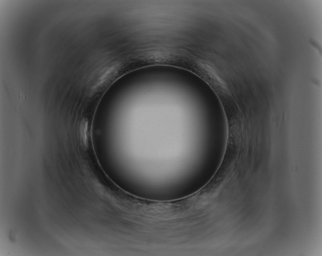 X0000091900024200709051411