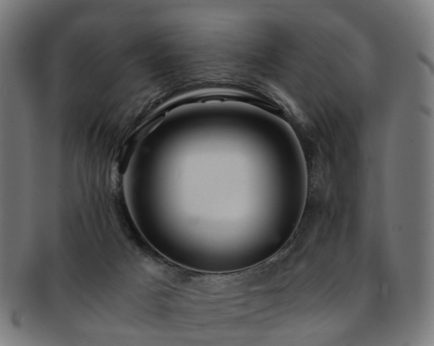 X0000091900025200709051411