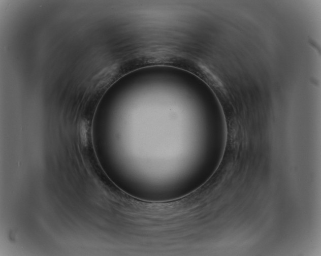 X0000091900026200709051411